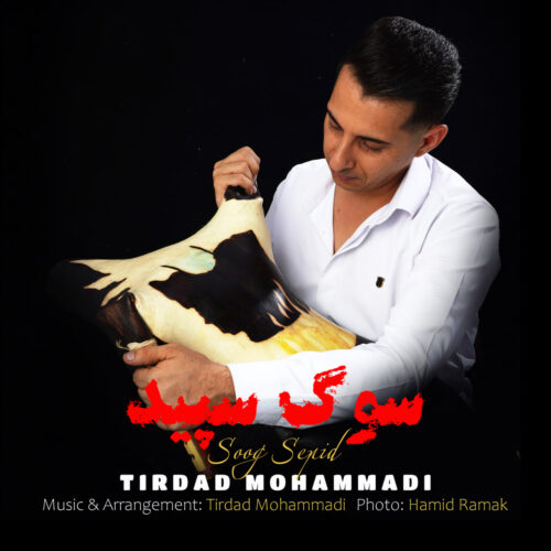 دانلود آهنگ تیرداد محمدی سوگ سپید دانلود آهنگ تیرداد محمدی سوگ سپید